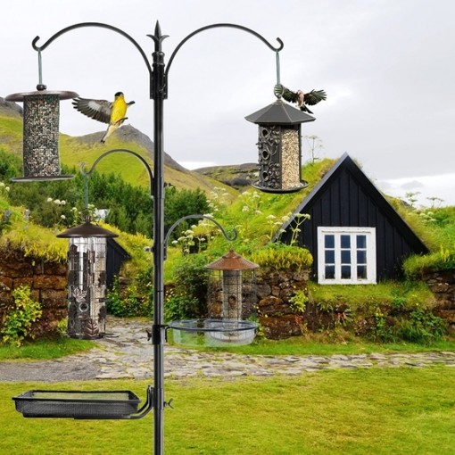 Ashman Premium Bird Feeding Station Kit