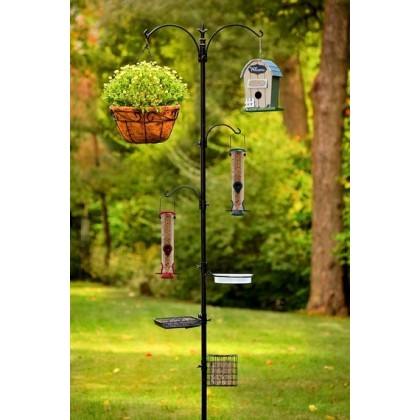 Ashman Deluxe Premium Bird Feeding Station
