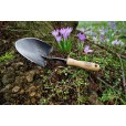 Mini Shovel With Ash Handle 140mm