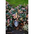 Mini Shovel With Ash Handle 140mm